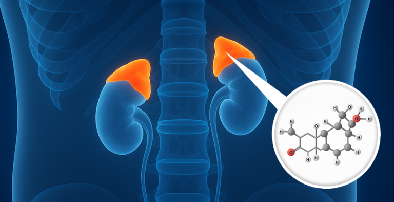 Кортизол – Како да го намалите хормонот на стрес